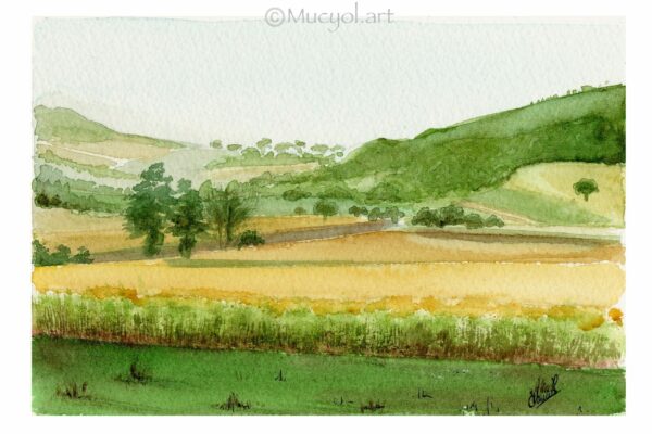 Réalisation d’une aquarelle pour une commande client