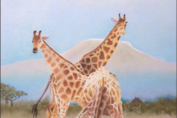 Réalisation de trois girafes avec la technique du pastel sec.