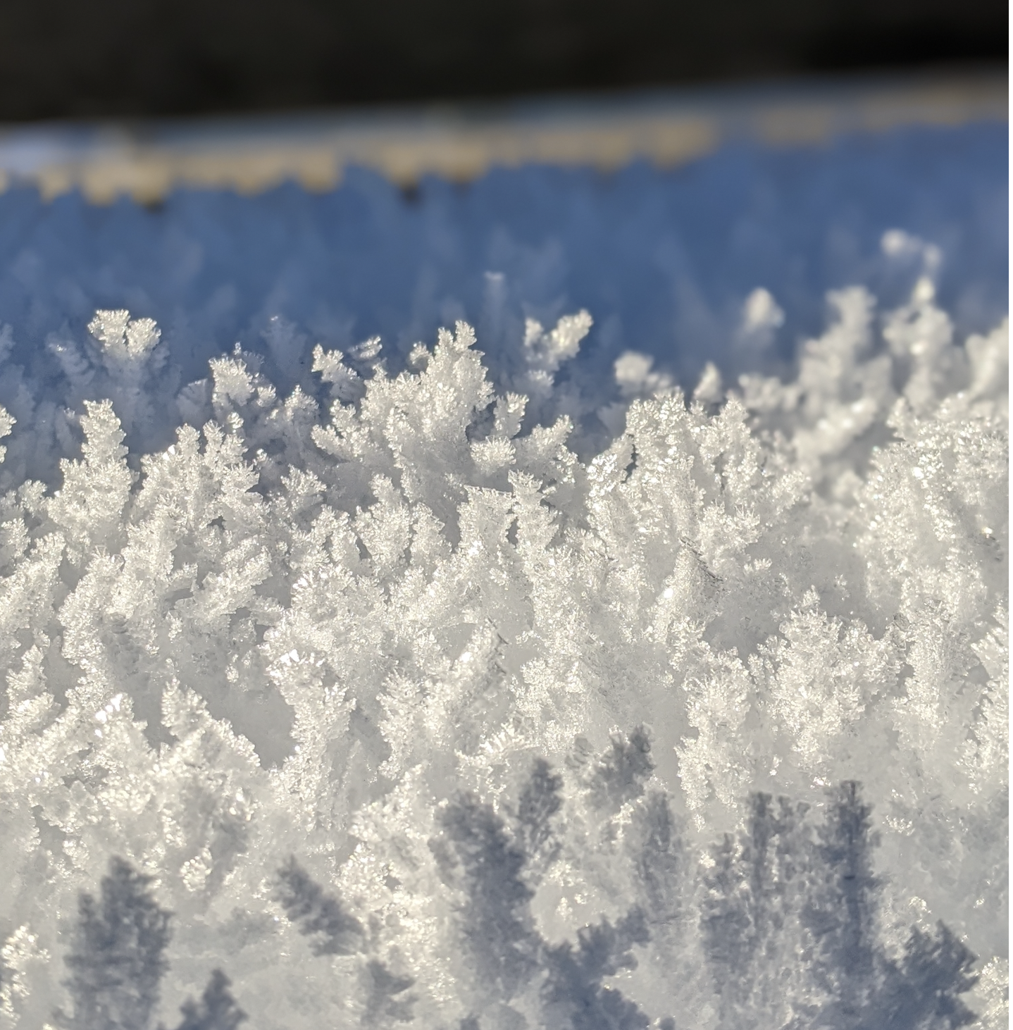 perception fine lumière nuance observation artistique