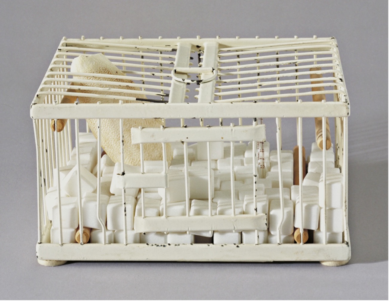 Cage remplie de faux morceaux de sucre en marbre réalisée par Marcel Duchamp en 1921, œuvre conceptuelle intitulée Why Not Sneeze, Rrose Sélavy ?